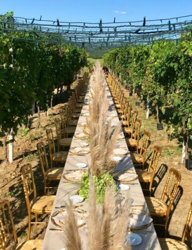 trattoria la rosa matrimonio catering10