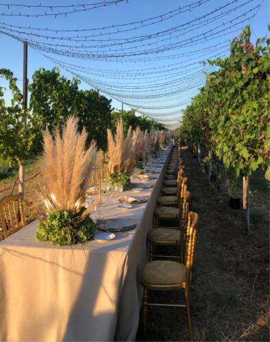 trattoria la rosa matrimonio catering3