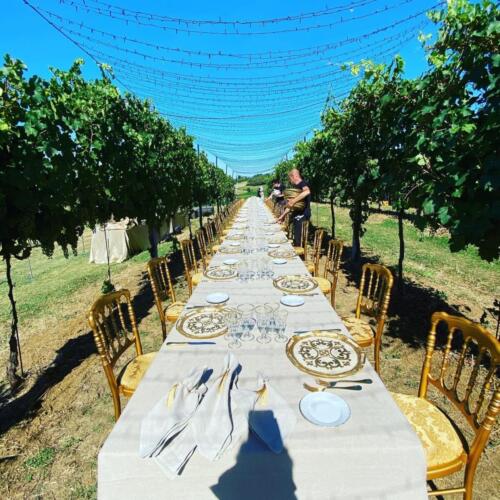 trattoria la rosa matrimonio catering7